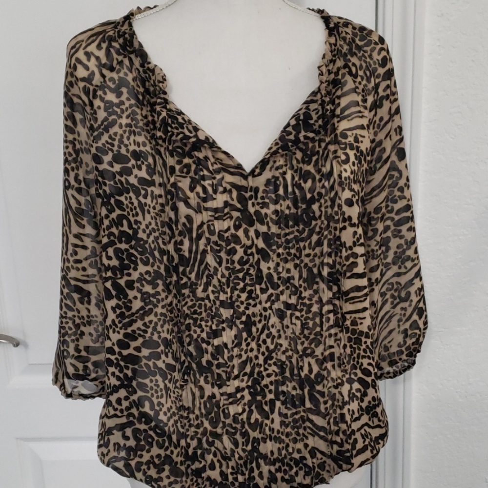 Express sheer top